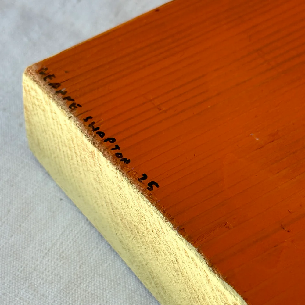 Leanne Shapton "Oranges Are Not the Only Fruit" Painted Wooden Book - Image 3