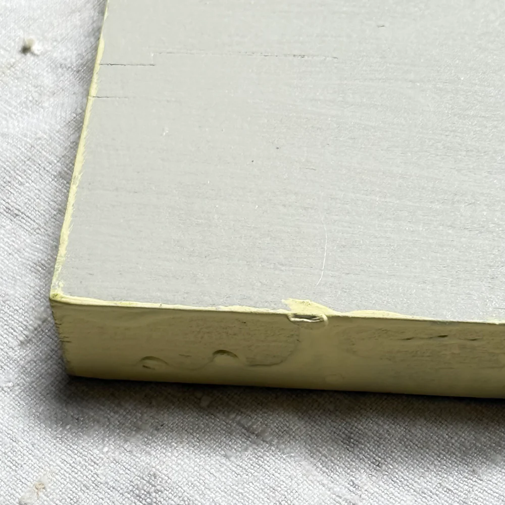 Leanne Shapton "Persuasion" Painted Wooden Book - Image 4