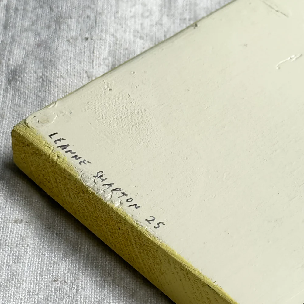 Leanne Shapton "Terms of Endearment" Painted Wooden Book - Image 4