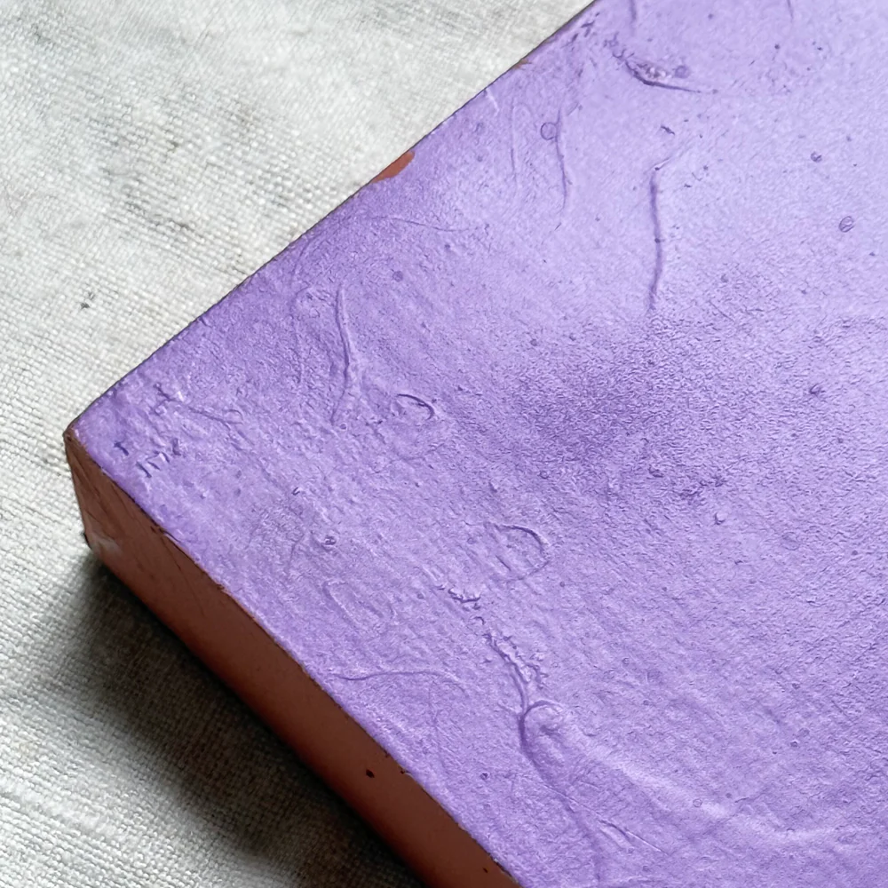 Leanne Shapton "The Price of Salt" Painted Wooden Book - Image 4