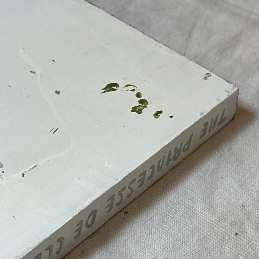 Leanne Shapton "The Princesse of Cléves" Painted Wooden Book - Image 4