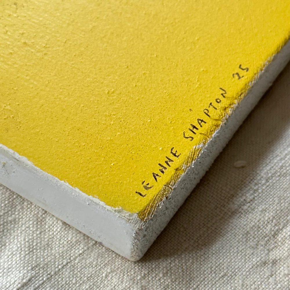 Leanne Shapton "The Trial" Painted Wooden Book - Image 3