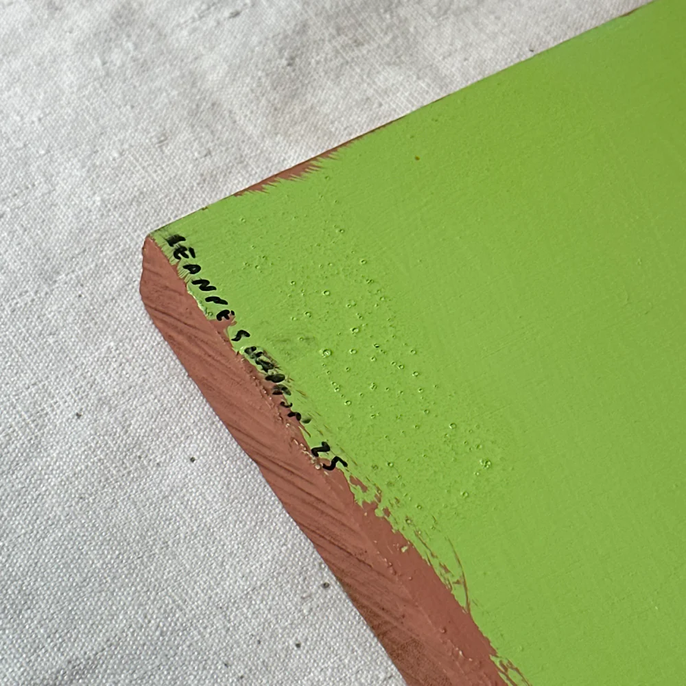 Leanne Shapton "The World According to Garp" Painted Wooden Book - Image 3
