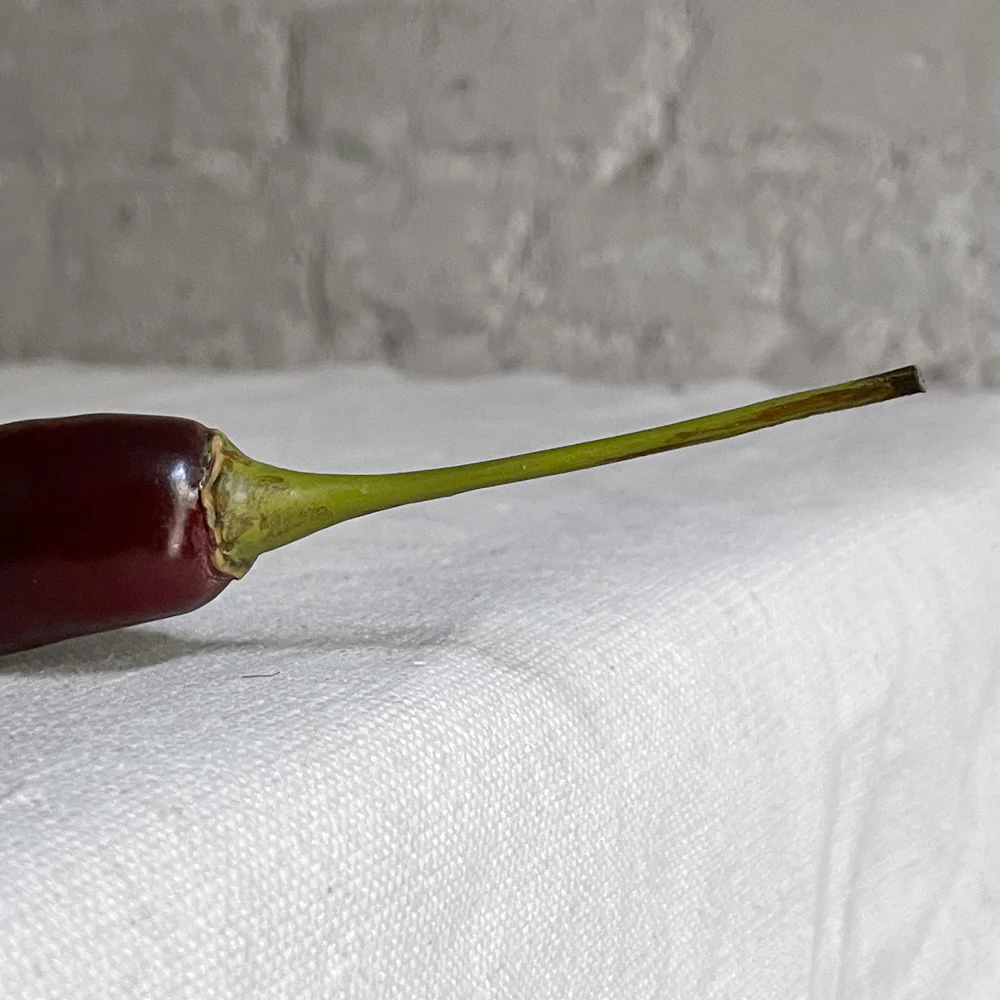 Long Black Porcelain Chili Pepper - Image 2