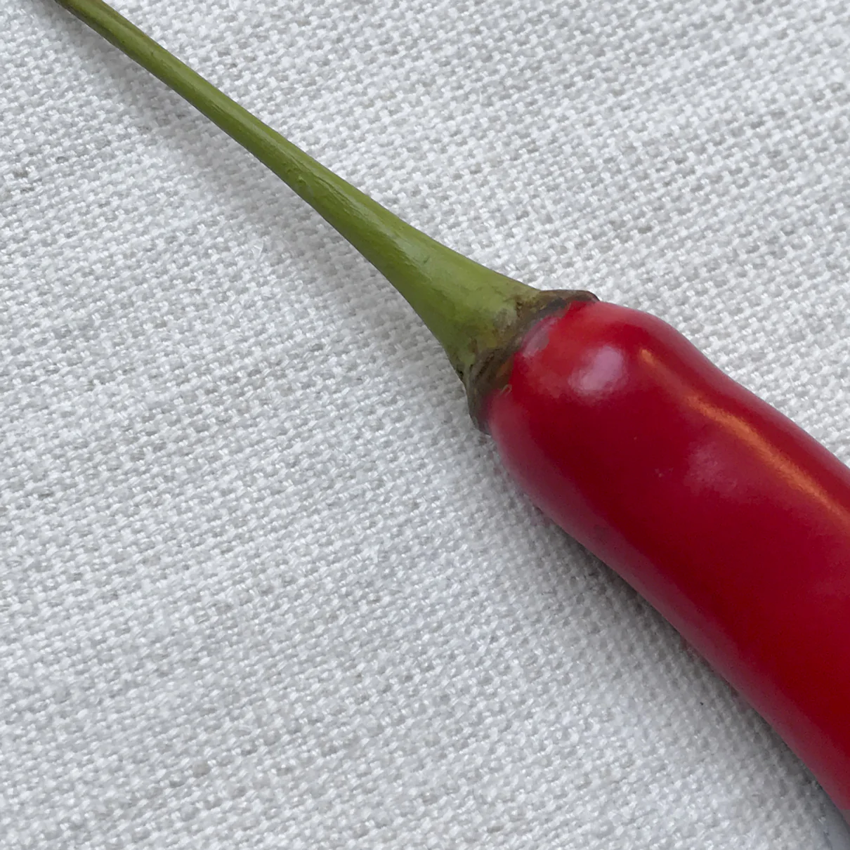 Long Red Porcelain Chili Pepper - Image 2