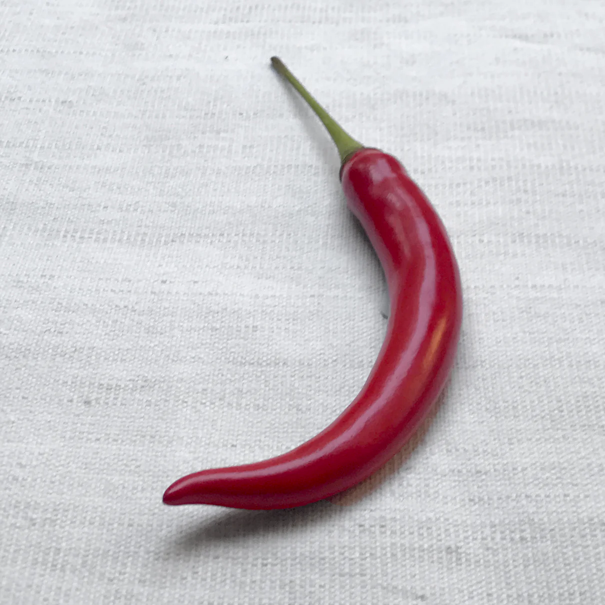 Long Red Porcelain Chili Pepper - Image 3