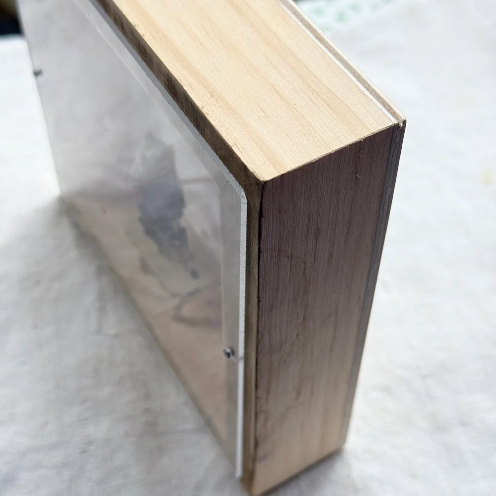 "Martha My Dear" Assemblage - Image 4