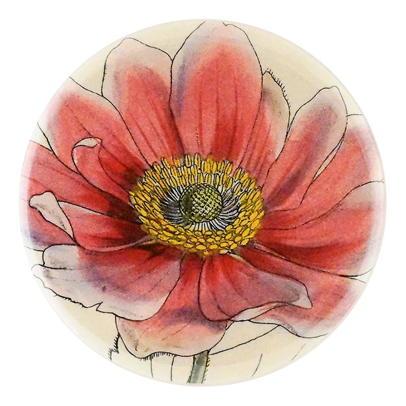 Anemone Japonica Pink