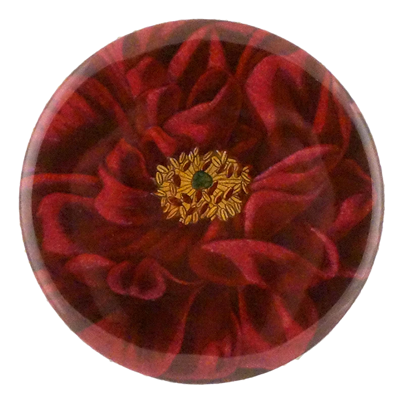 Rose de Provins Ordinaire