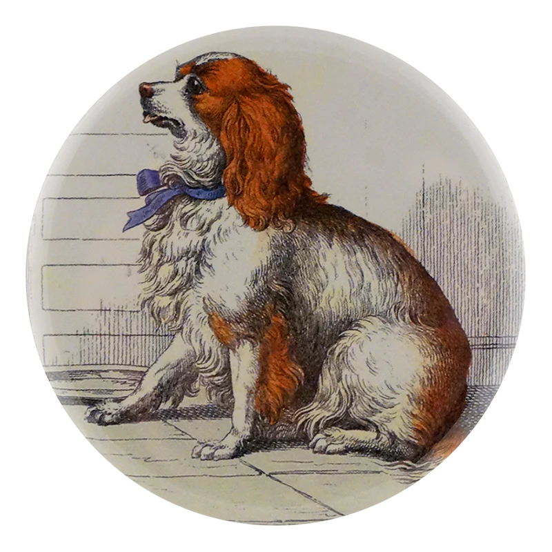 Spaniel with Bow