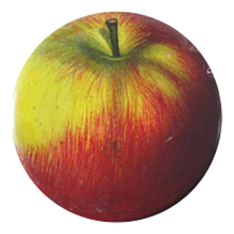 Red Apple