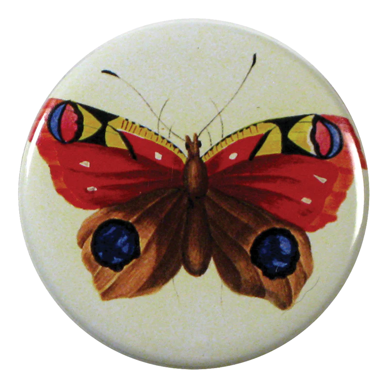 Painted Papillon