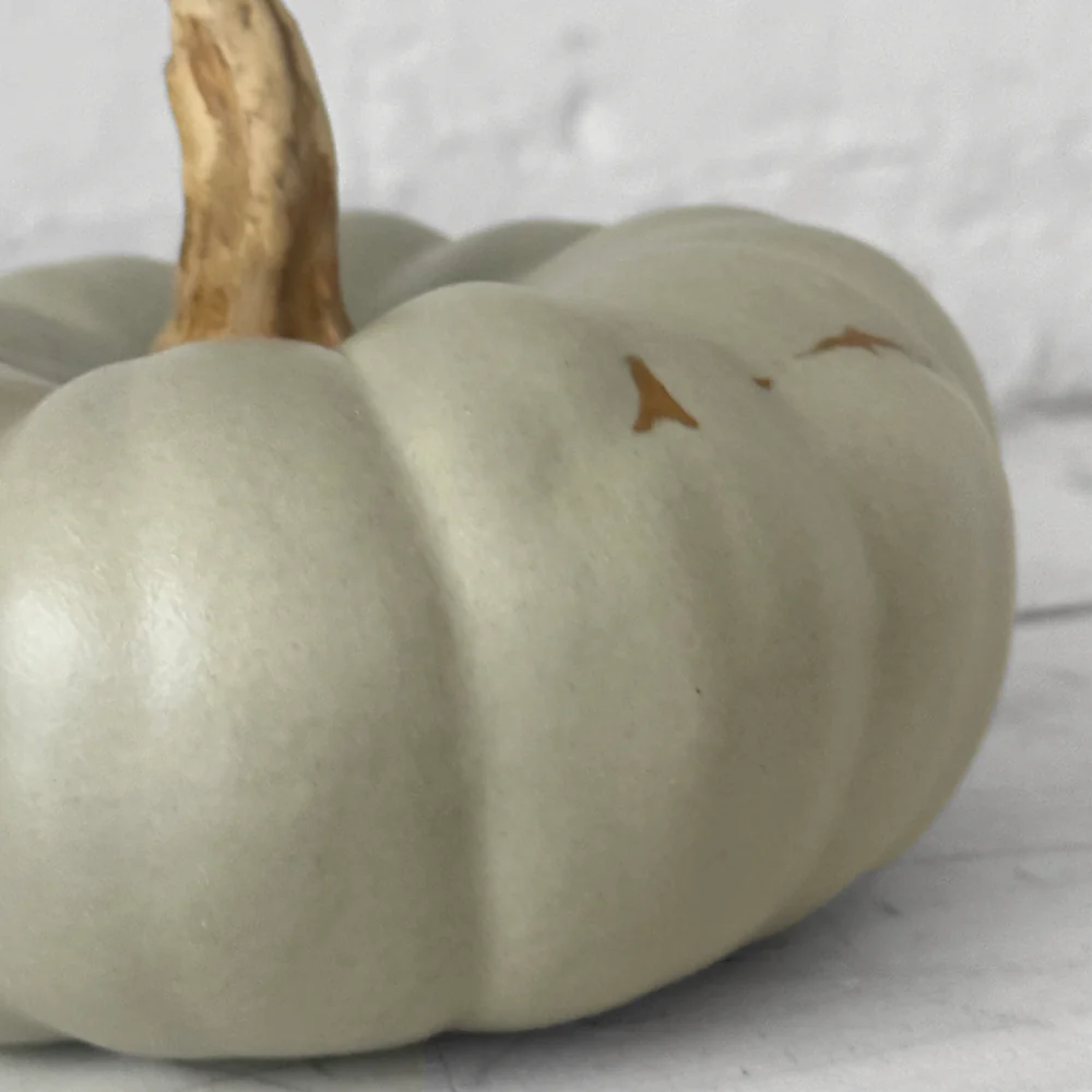 Medium Crown Prince Porcelain Squash - Image 3