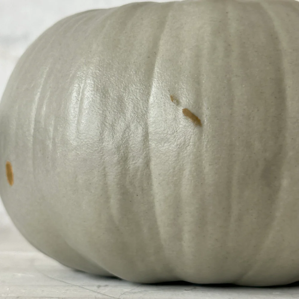 Medium Porcelain Crown Prince Squash - Image 4