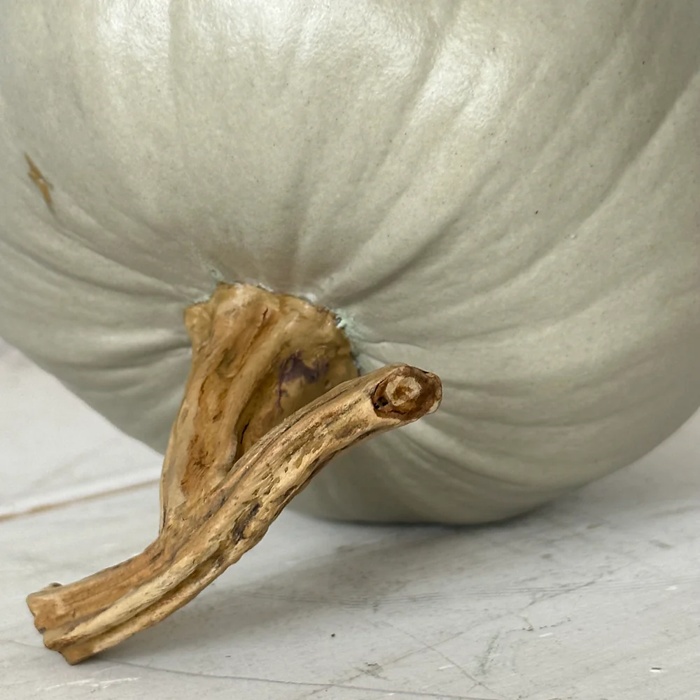 Medium Porcelain Crown Prince Squash - Image 5