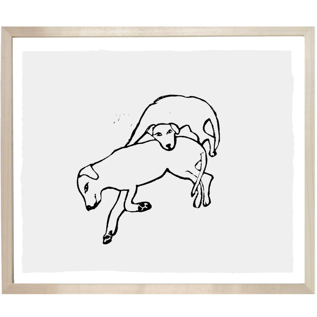 Two Labradors