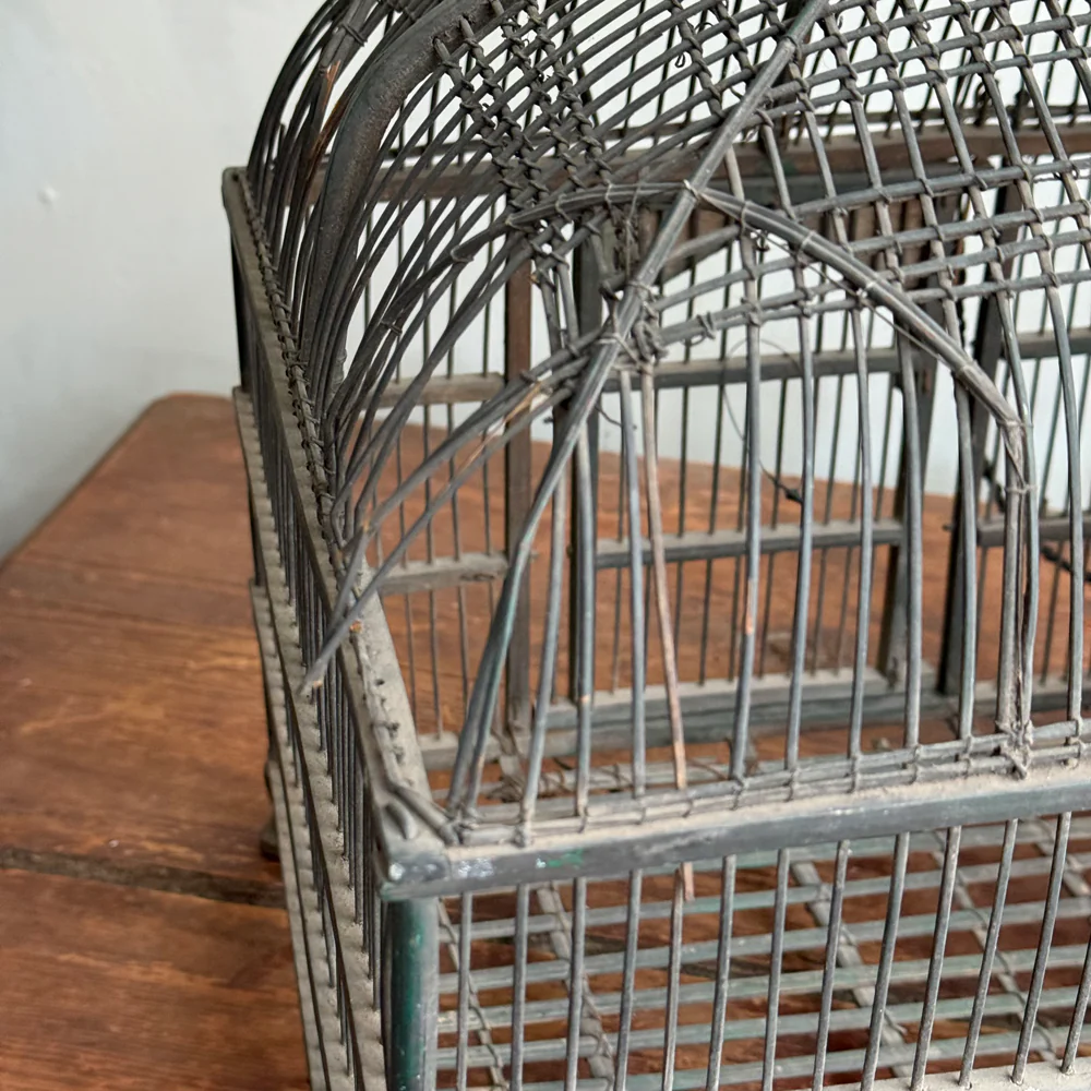 Mid 19th-century Victorian Double Dome Top Bird Cage - Image 11