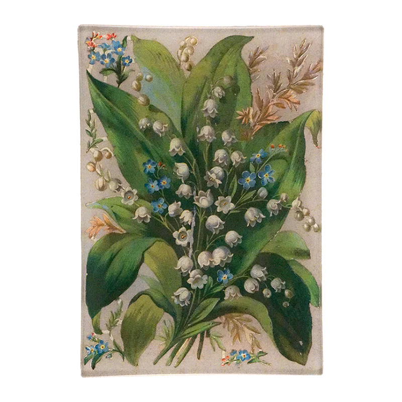 Lily of the Valley
