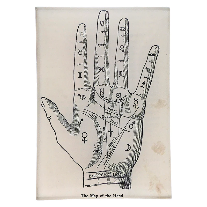 The Map of the Hand