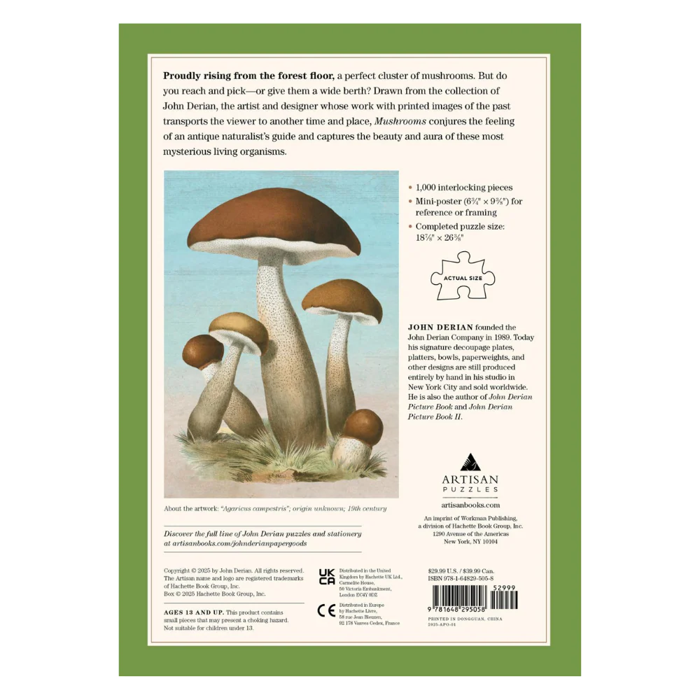 Mushrooms - Image 3