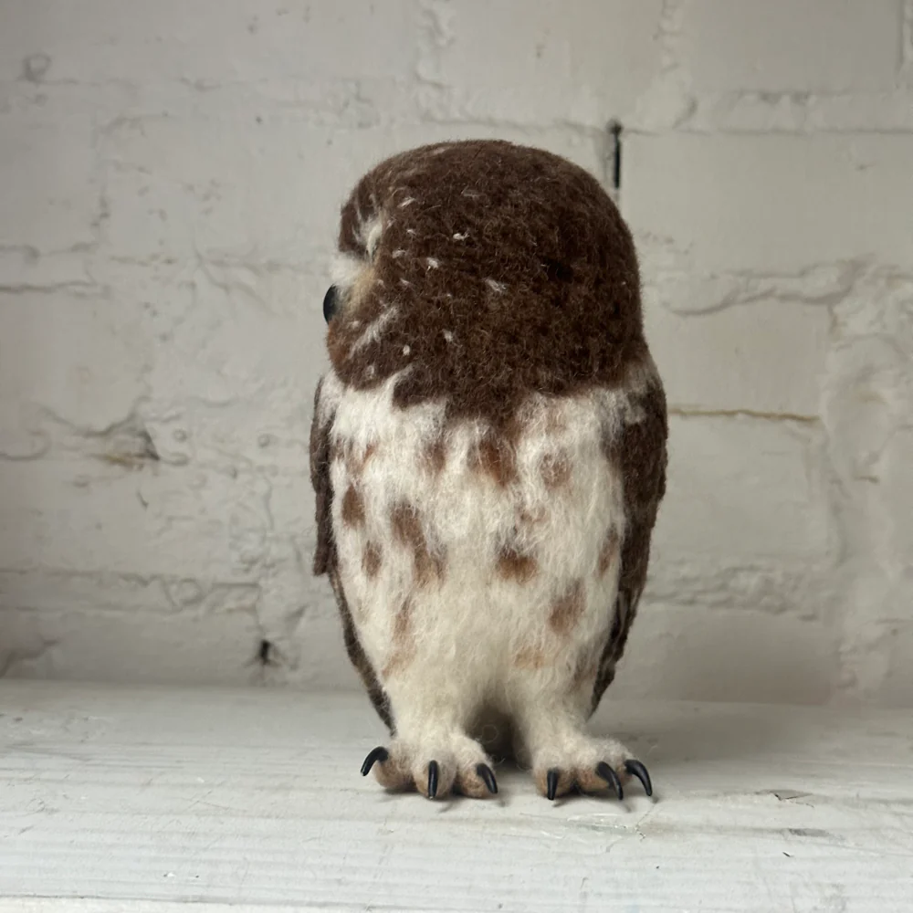 Needle Felted Left Facing Saw-Whet Owl - Image 4