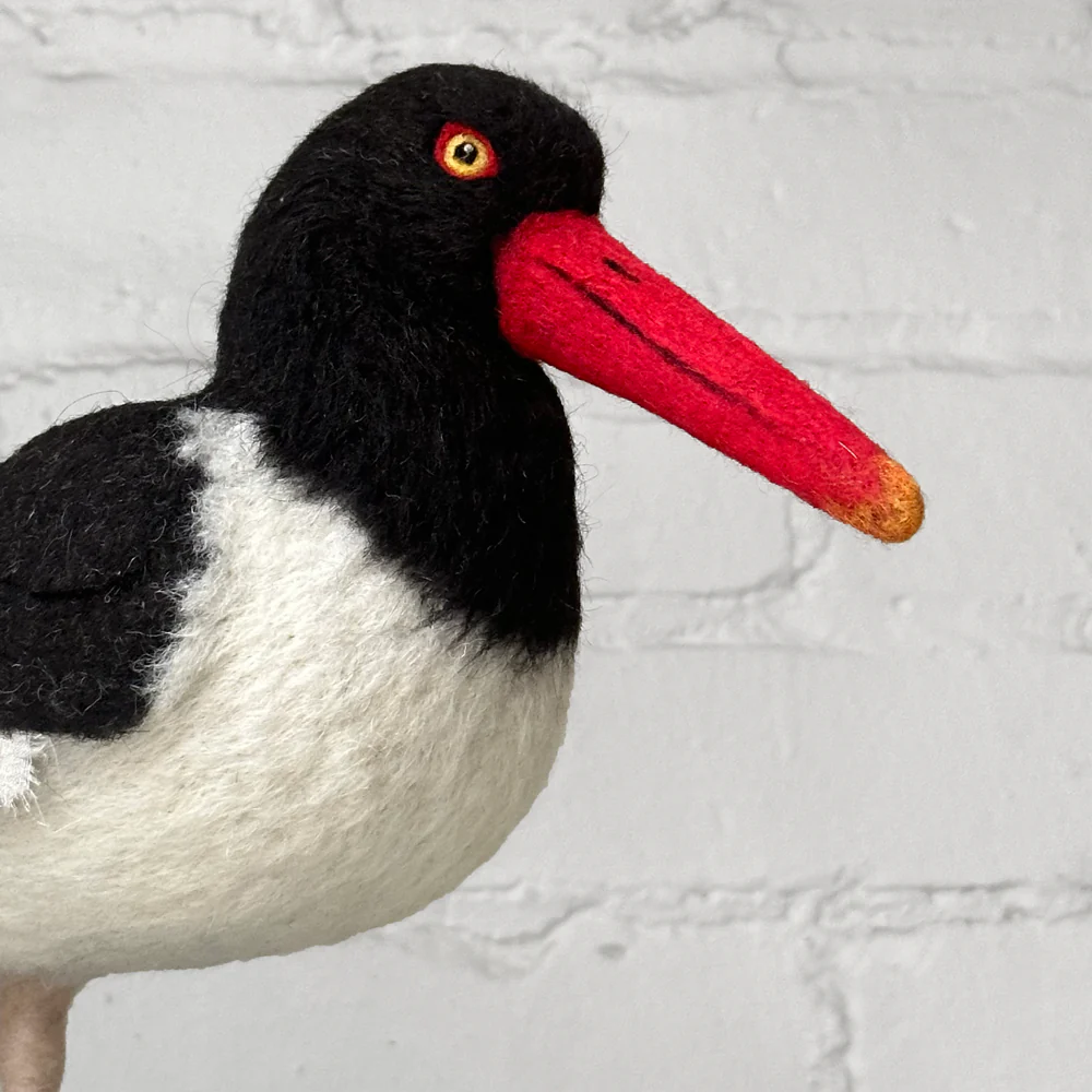 Needle Felted Oystercatcher #1 - Image 3