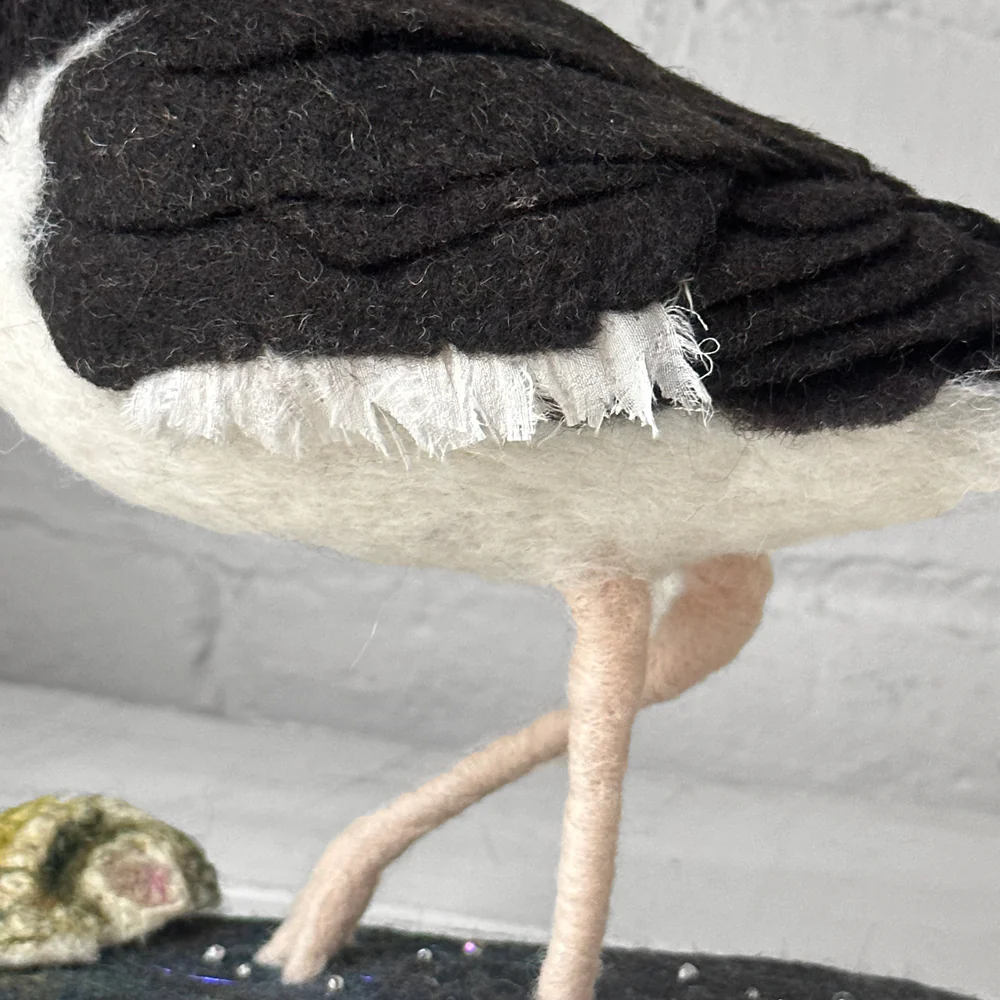 Needle Felted Oystercatcher #1 - Image 5