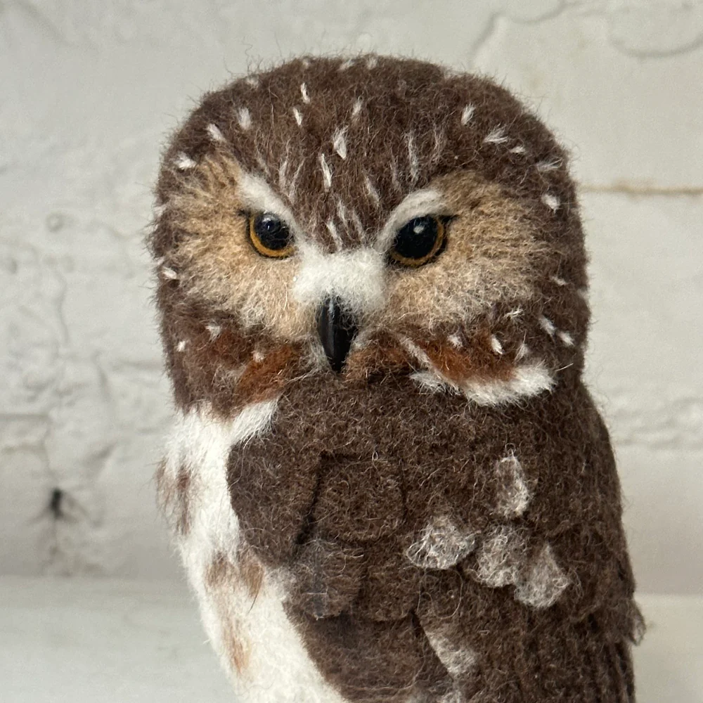 Needle Felted Right Facing Saw-Whet Owl - Image 4