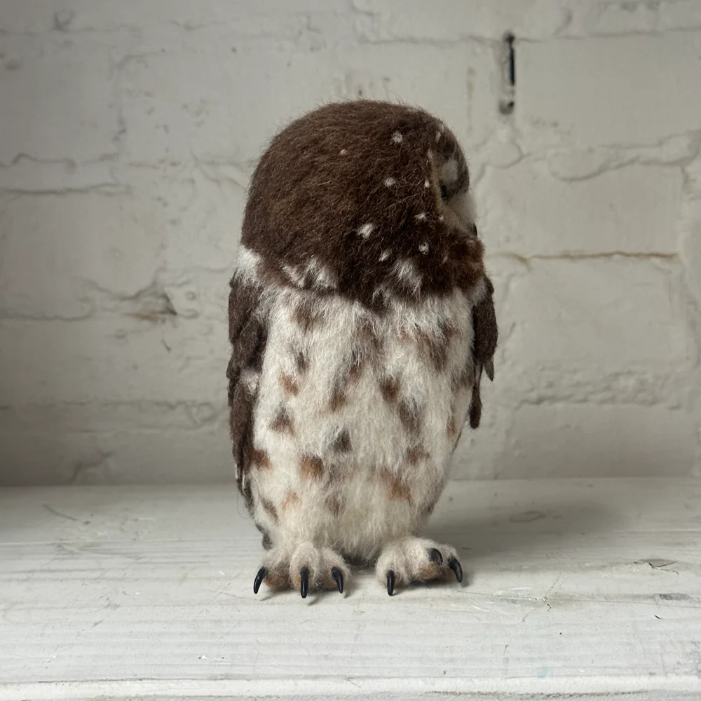 Needle Felted Right Facing Saw-Whet Owl - Image 5