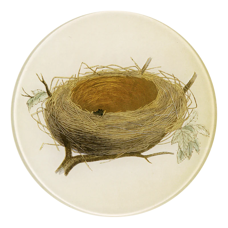 Nest