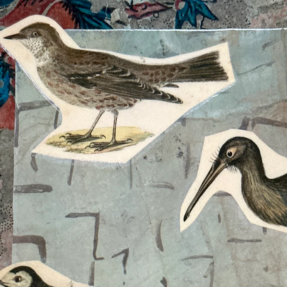 One of a Kind Collaged Birds Table Mat (#630) - Image 2