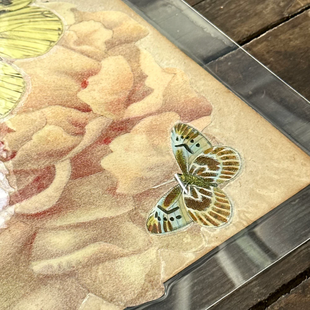 One of a Kind Collaged Butterflies & Flower Mat Pair (2-10 & 2-11) - Image 4