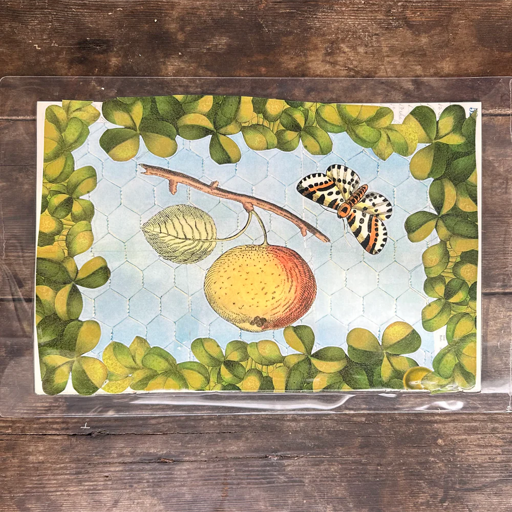 One of a Kind Collaged Fruit Mat Pair (2-01 & 2-02) - Image 2