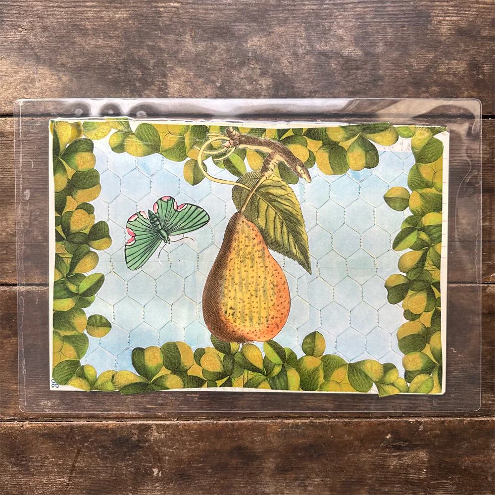 One of a Kind Collaged Fruit Mat Pair (2-01 & 2-02) - Image 3