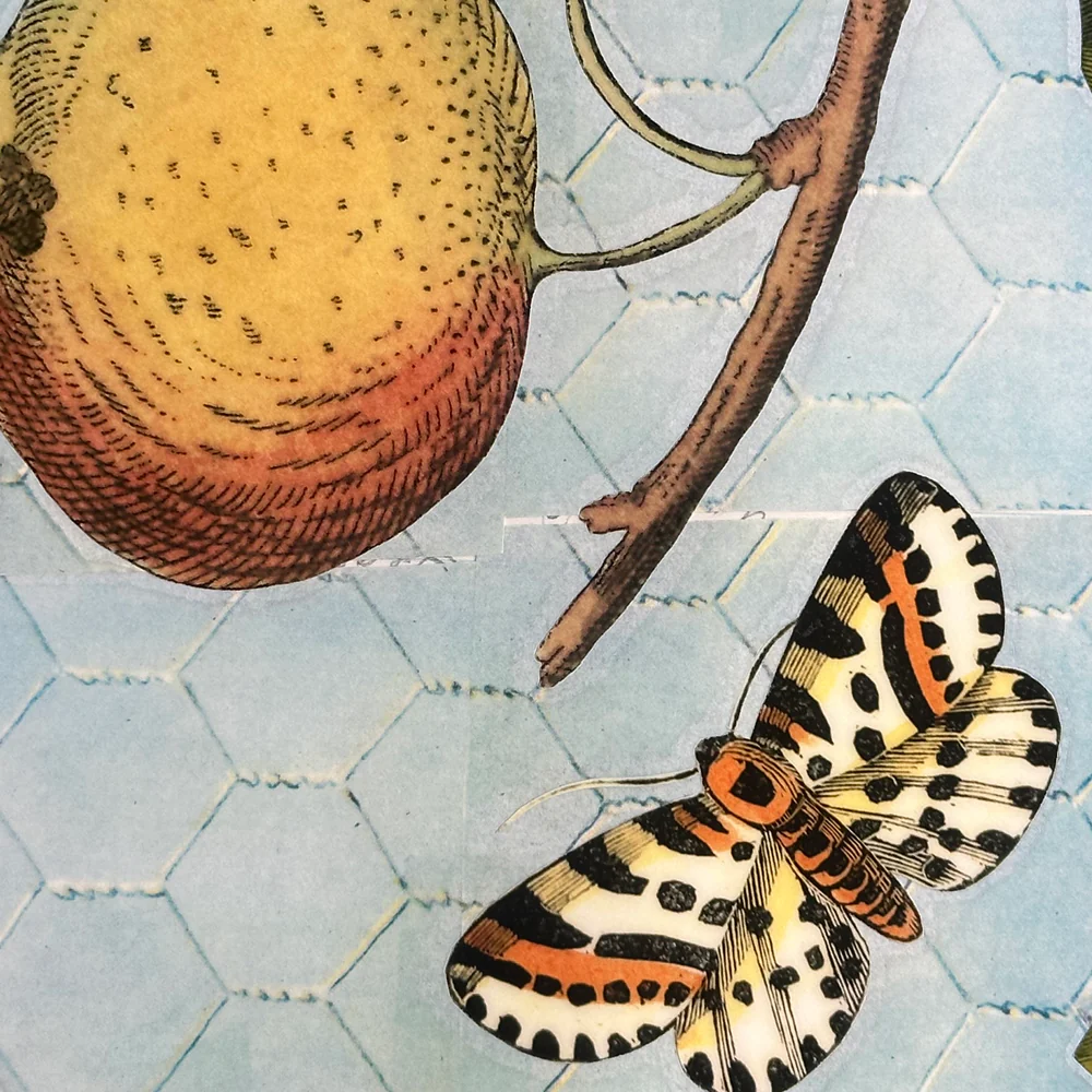 One of a Kind Collaged Fruit Mat Pair (2-01 & 2-02) - Image 4