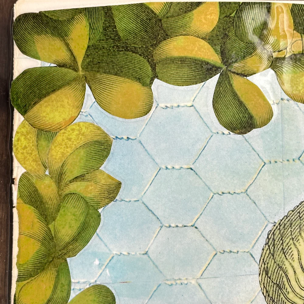 One of a Kind Collaged Fruit Mat Pair (2-01 & 2-02) - Image 5