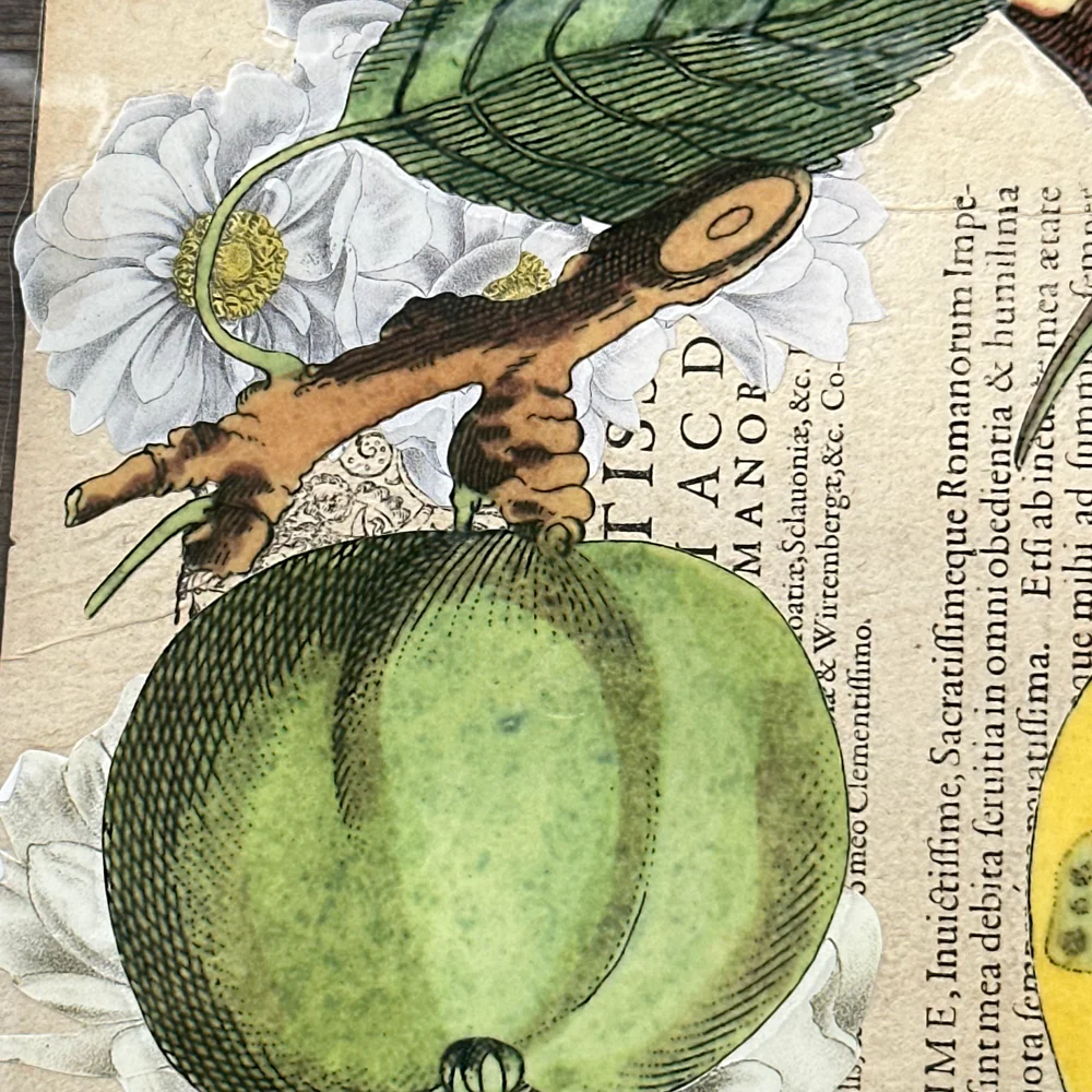 One of a Kind Collaged Pear Mat (2-09) - Image 3