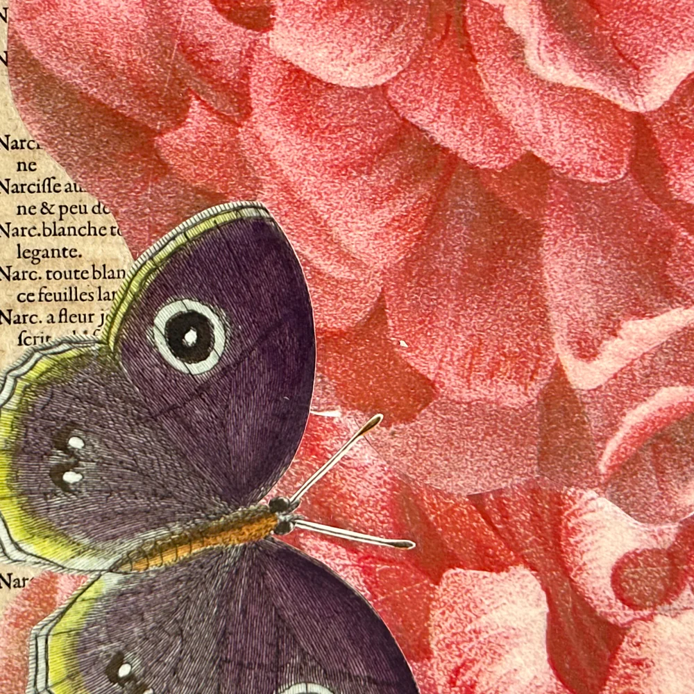 One of a Kind Collaged Pink Flower & Butterly Mat Pair (2-17 & 2-19) - Image 10