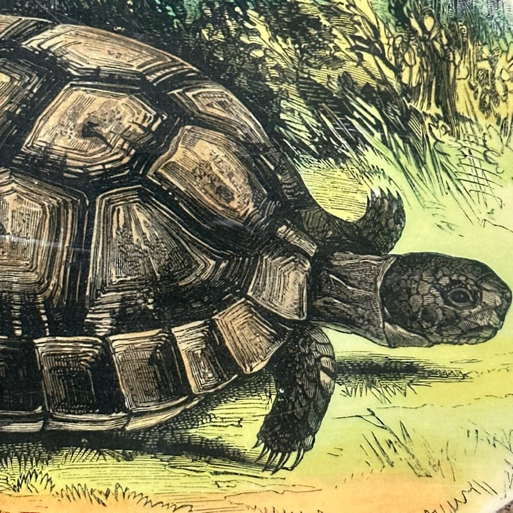 One of a Kind Collaged Turtle Table Mat (#614) - Image 2