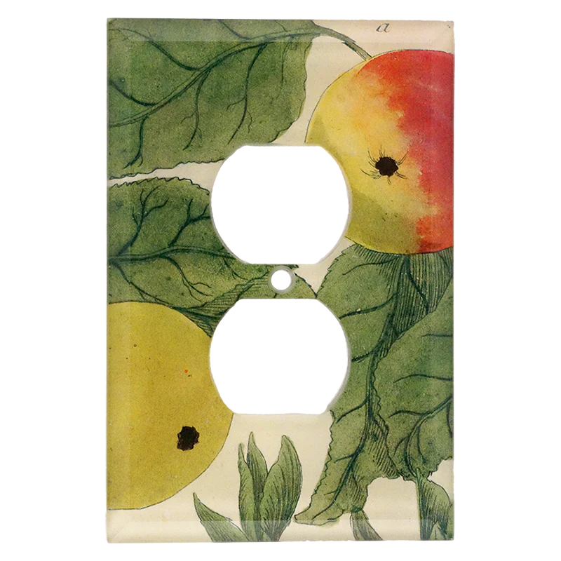 N. 707 Colorful Apples
