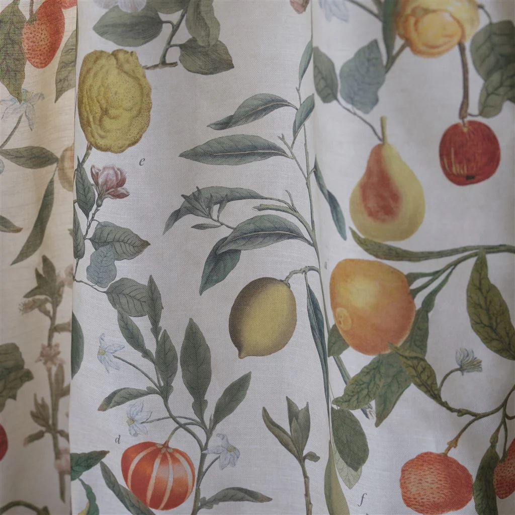 Orchard Fruits Parchment - Image 2
