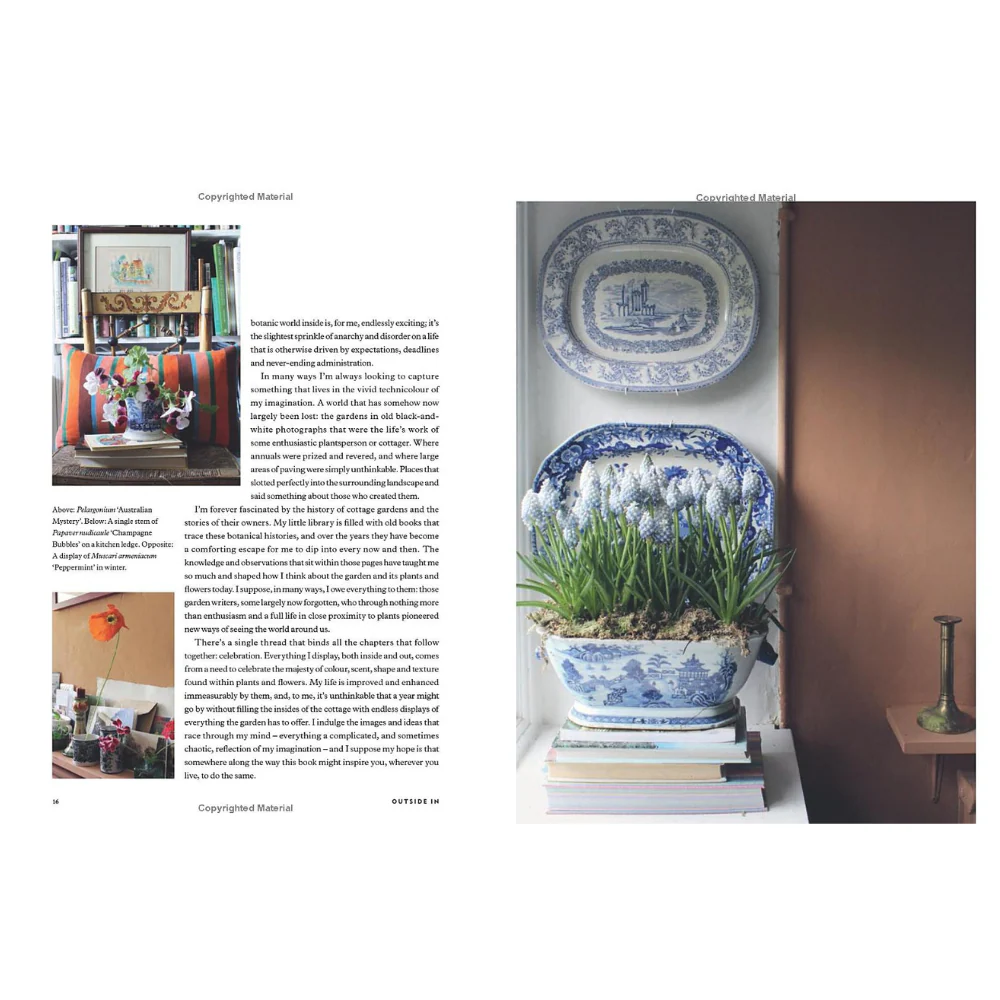 Outside In: A Year of Growing & Displaying - Image 4