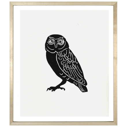 Owl 1