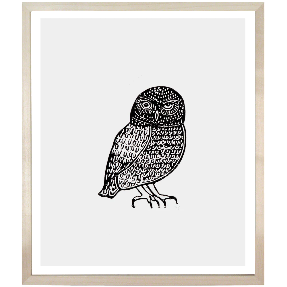 Owl 3