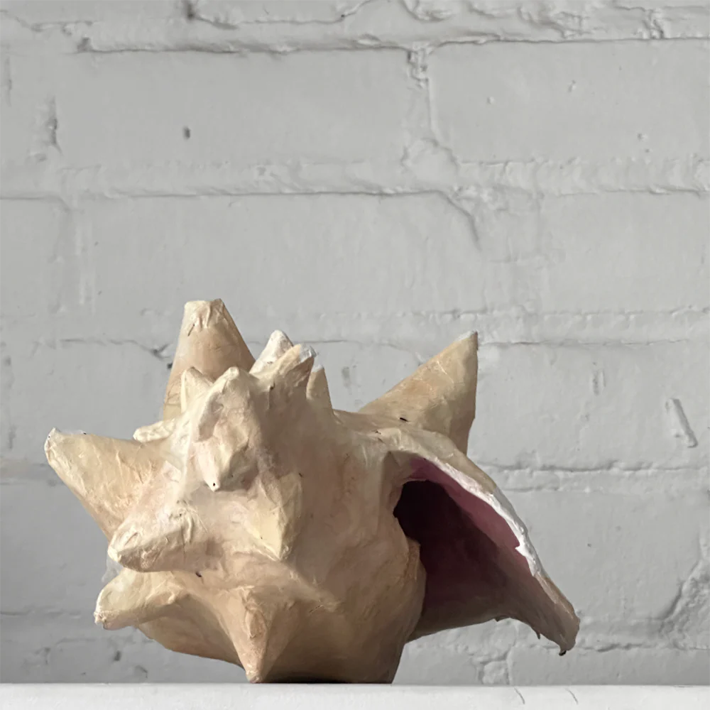 Papier-Mâché Conch Shell - Image 3