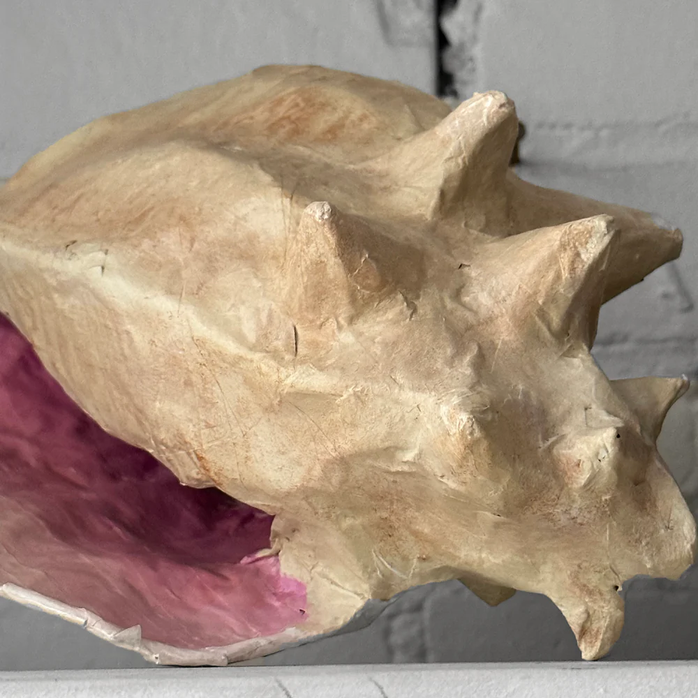 Papier-Mâché Conch Shell - Image 4