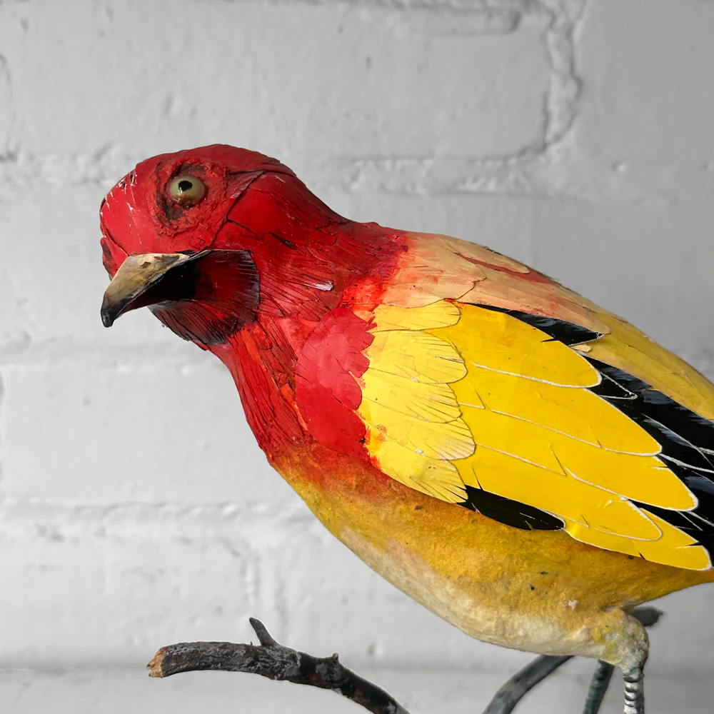 Papier-Mâché Flame Bower Bird #25 - Image 4