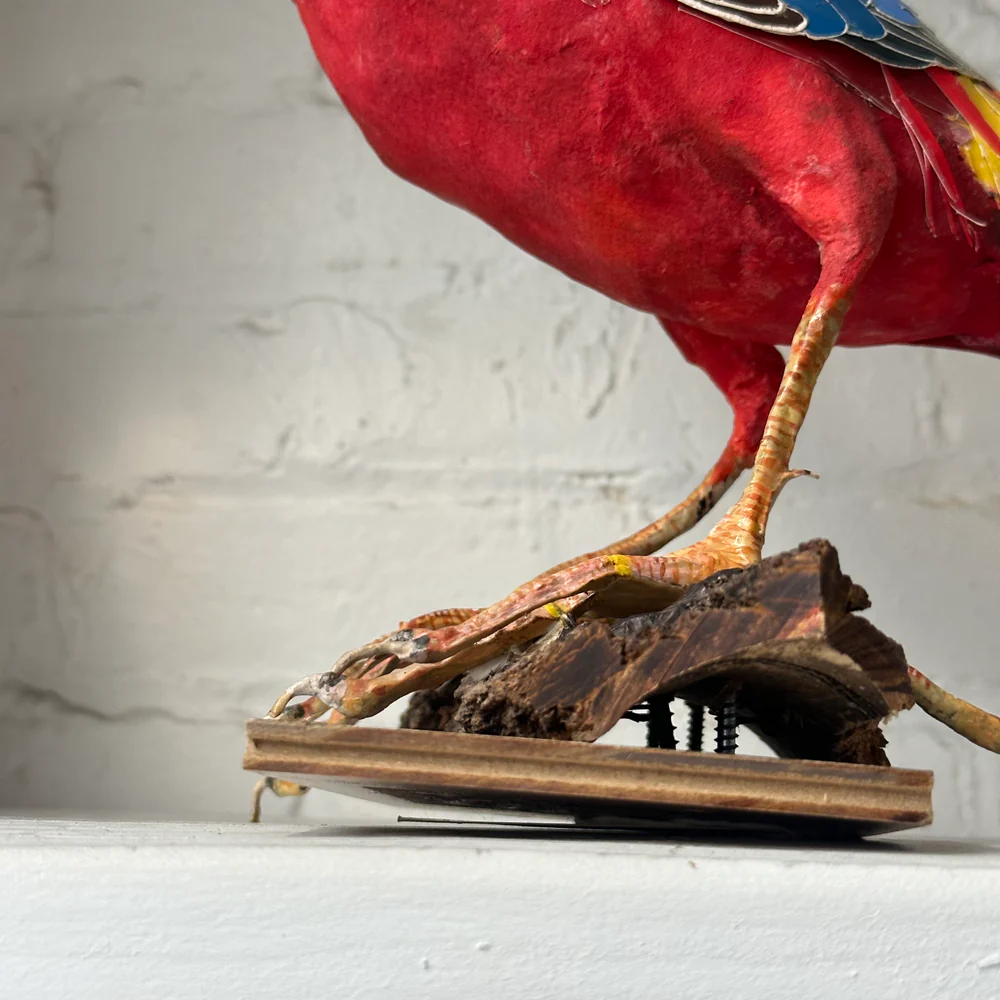 Papier-Mâché Golden Pheasant Bird #4 - Image 4