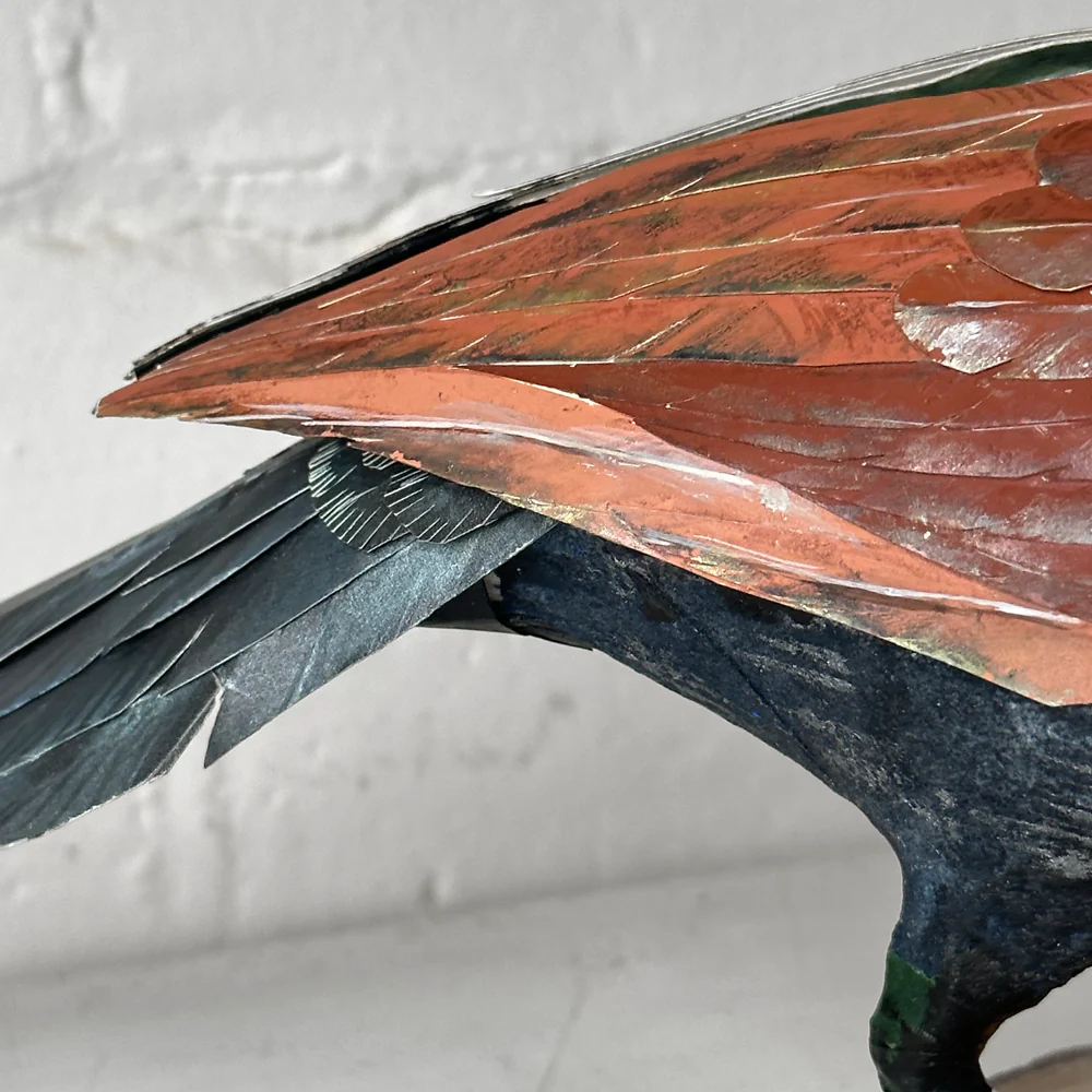 Papier-Mâché Greater Coucal Bird #37 - Image 6