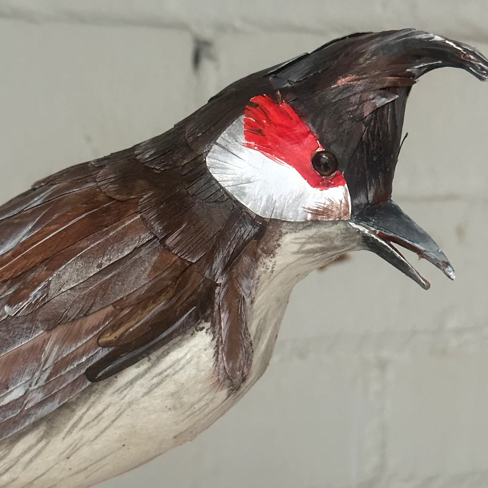 Papier-Mâché Red-Whiskered Bullbull Bird #49 - Image 2